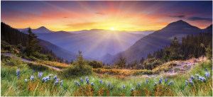 sunset over purple mountains with wildflowers in foreground